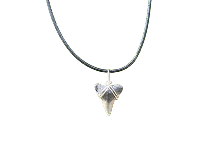Shark Tooth Necklace image 0