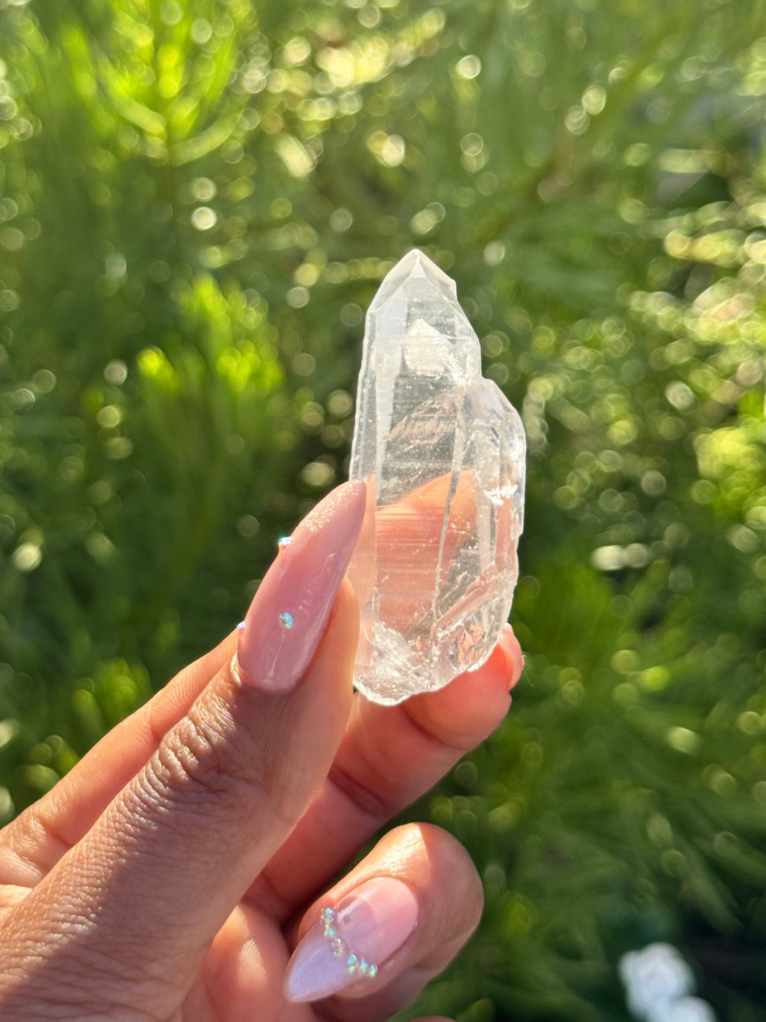 Lemurian Seed Quartz Crystal

21g | 53 × 20mm