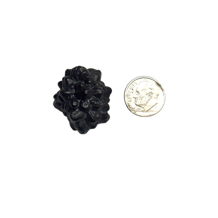 Prophecy Stone 24g 30x27mm