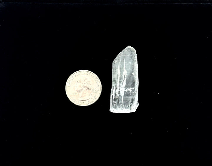 Lemurian Seed Crystal 14g • 44 x 19 mm